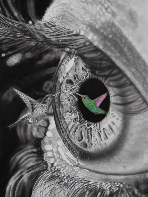 Hyperrealistic charcoal and graphite drawing of an eye and a hummingbird, symbolizing inner transformation by Noirvell Art Studio.