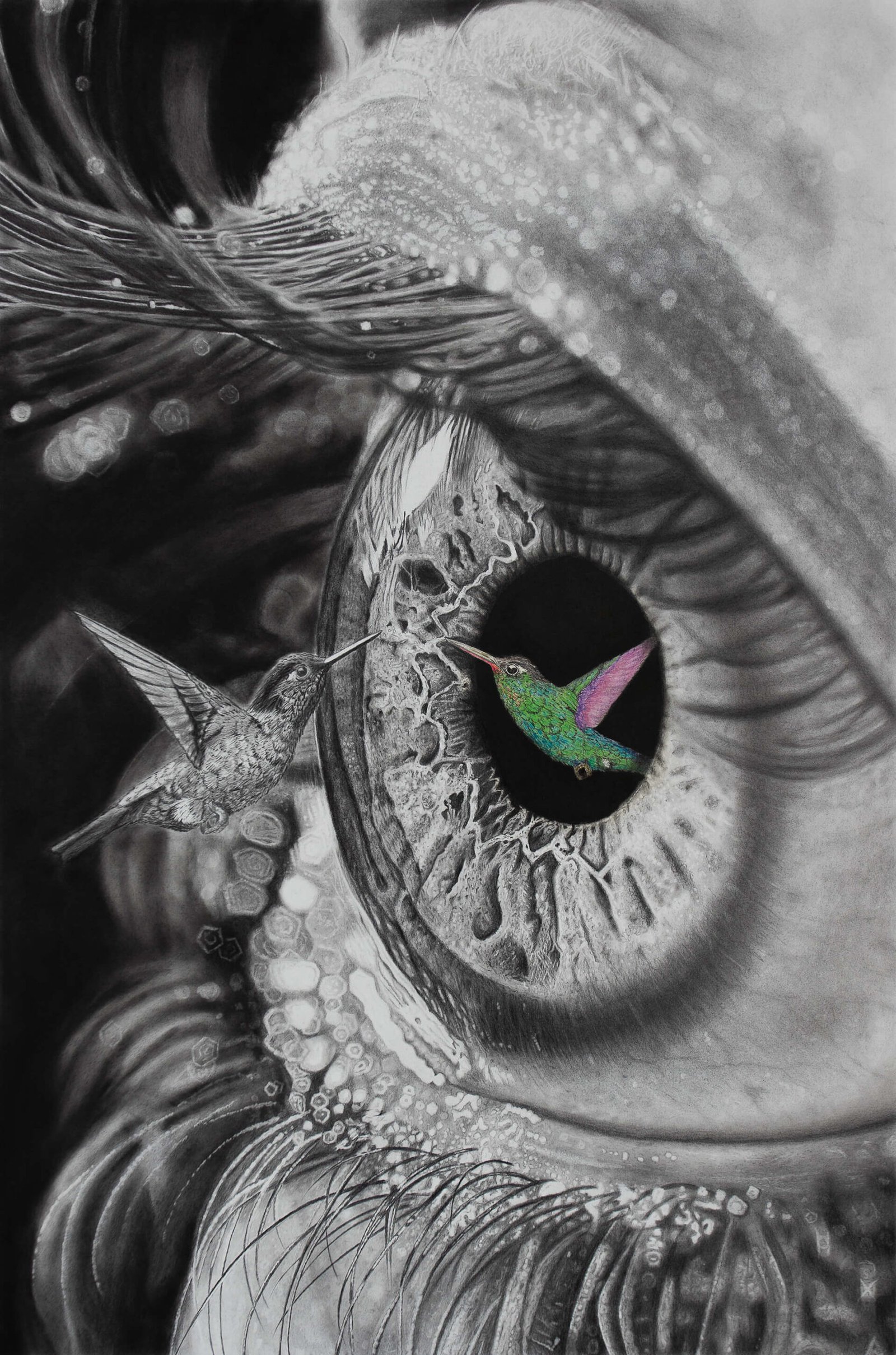 Hyperrealistic charcoal and graphite drawing of an eye and a hummingbird, symbolizing inner transformation by Noirvell Art Studio.