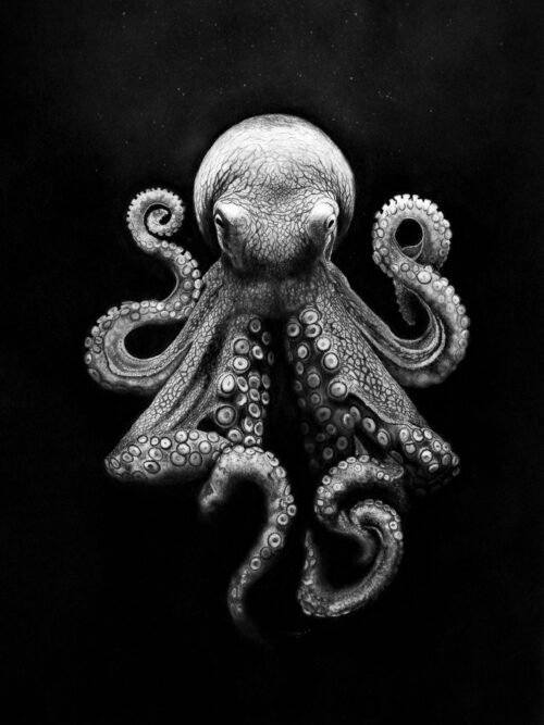 hyperrealistic-art-drawing-Octopussy Octopussy — Hyperrealistic charcoal and graphite drawing by Noirvell.