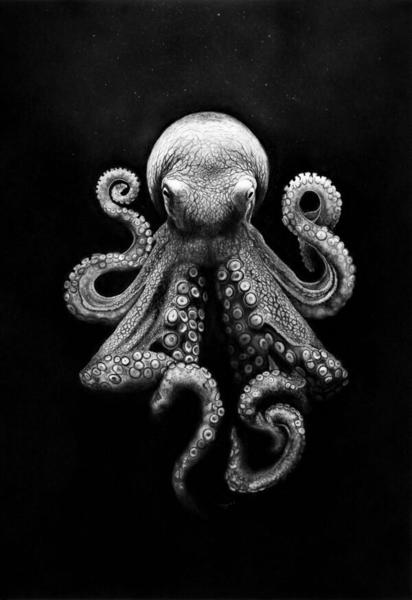 hyperrealistic-art-drawing-Octopussy Octopussy — Hyperrealistic charcoal and graphite drawing by Noirvell.