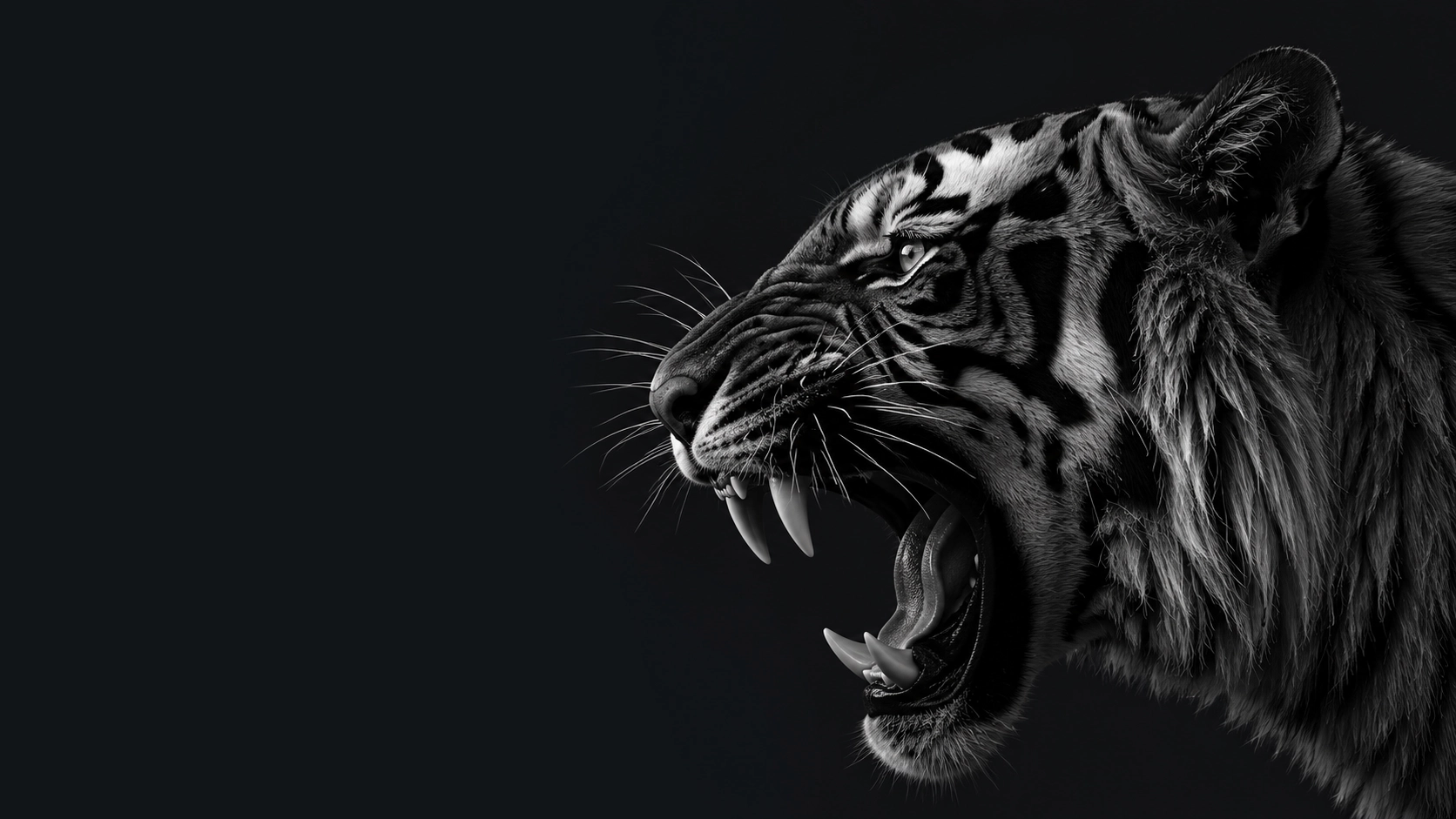 tiger